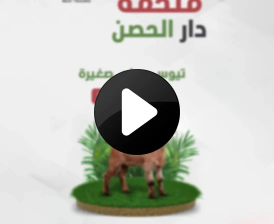 ملحة دار الحصن